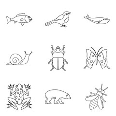 Wall Mural - Snail icons set, outline style
