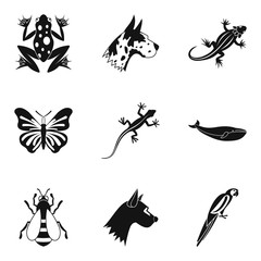 Wall Mural - Bug icons set, simple style