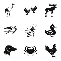 Wall Mural - Flying animal icons set, simple style