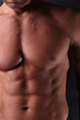 © forma82 - Muscular chest and stomach.