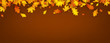 Autumn banner with orange leaves.