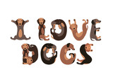 Fototapeta Pokój dzieciecy - I love dogs. Vector letters of dachshund dogs.