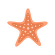 Orange starfish marine animal. Vector illustration drawing. Isolated on white background.