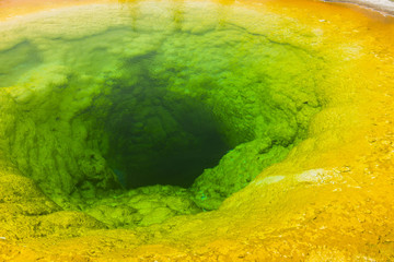 Wall Mural - Morning glory pool