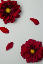 Red Flowers On A Gray Background. Space For Text