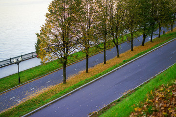 Wall Mural - Beautiful view of urban park in Texas, America. Green grass lawn, huge pine trees and walking/running trail illuminated by sunshine alley during sunset. Parking lot in distance, composition of nature.