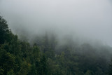 Fototapeta Na ścianę - Misty Forest Mountain Nature Background in North Caucasus