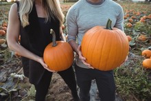 Couple Holding Pumpkin