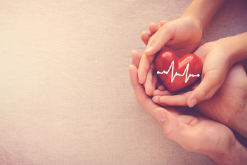 Wall Mural - adult and child hands holding red heart with cardiogram, organ donor day, health care love and family concept, world heart day, world health day, world hypertension day, praying concept