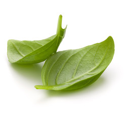 Sweet basil herb leaves isolated on white background closeup