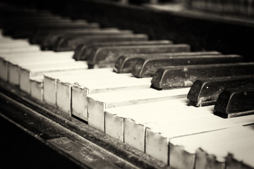 Wall Mural - Keys from an old broken damaged piano