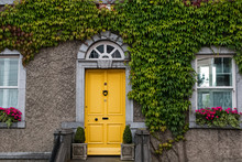 Facade Of House Braided With Ivy And Yellow Door