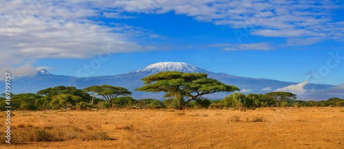 Photographie Kilimanjaro mountain Tanzania snow capped under cloudy blue skies captured whist on safari in Africa Kenya