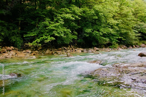 長野県阿寺渓谷を流れる綺麗な水の流れ Stock Photo Adobe Stock