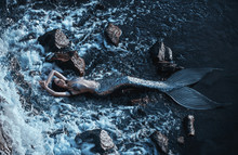The Real Mermaid Is Resting On The Ocean Shore. Silver Tail, The Body Is Covered With Scales. Creative Colors