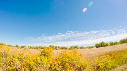 Aufkleber - State Park