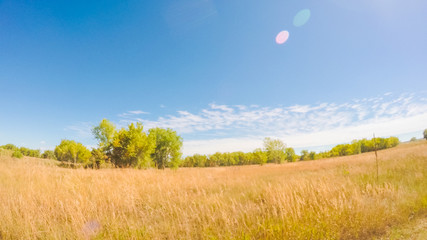 Aufkleber - State Park