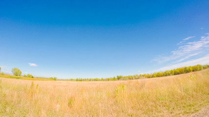 Aufkleber - State Park