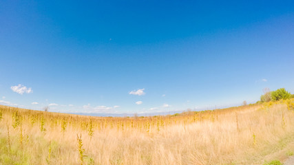 Aufkleber - State Park