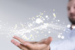 © vegefox.com - data
