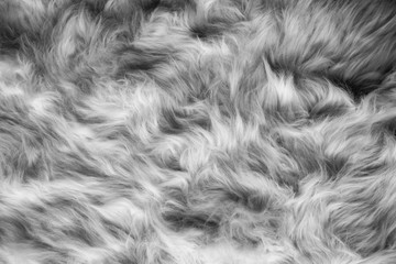 White cotton wool background texture