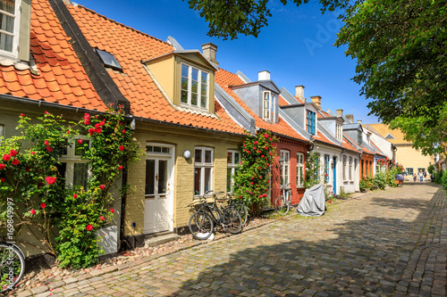 Mollestien street, Aarhus, Denmark Wallpaper Mural