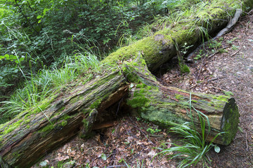 Clear green Countryside from the summer Mountains Beskydy in north east Bohemia, Czech Republic