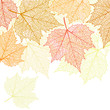 Nature banner with autumn leaves 