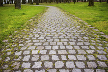 Neat Old Cobblestone Road Among Trees