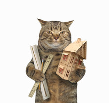 The Cat Architect Is Holding A House Model. White Background.