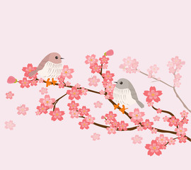 cute birds with cherry tree background