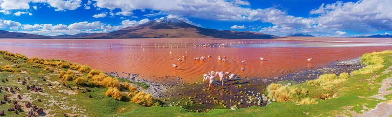 Obraz na płótnie wzgórze panoramiczny góra flamingo egzotyczny