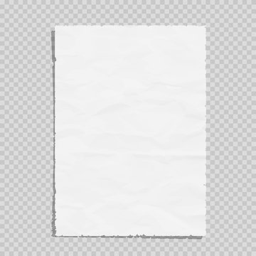 empty white paper sheet crumpled