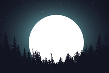 Forest Night Moon