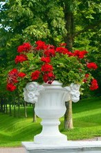 White Gorgeous Stone Planter With Red Flowers