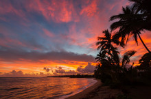 North Shore Oahu Tropical Sunrise