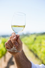 Vintner holding glass of wine