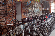 Different Bicycles In Shop