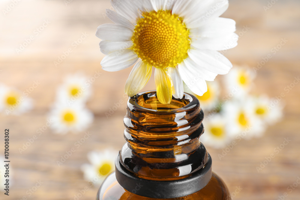 Bottle of essential oil and chamomile flower on blurred background