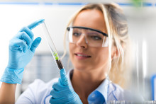 Young Attractive Female Scientist Examiming Test Tube With A Plant In The Laboratory