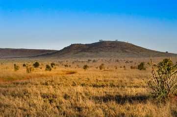 Wall Mural - View of the Tsavo East savannah