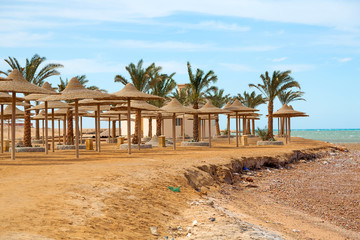 Wall Mural - Beach with palm trees in Egypt