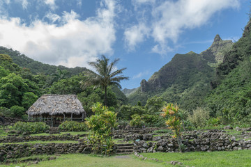 A grass roof hut, palm tree, mountains and lush garden, at the Limahuli Garden and Preserve-National Botanical Garden, Ha'ena, Halele'a, Kauai, Hawaii