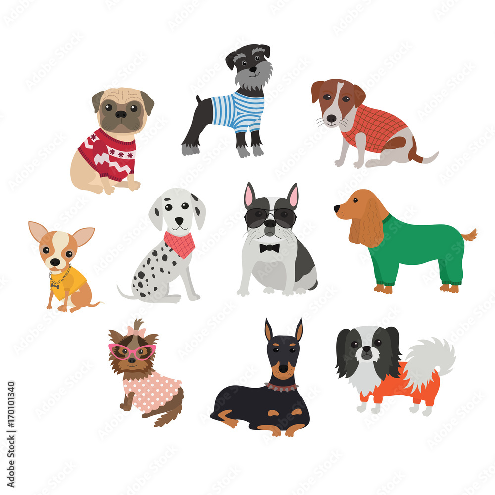 Set of different breeds of dogs in clothing and accessories Stock ...