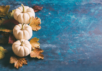 Wall Mural - autumn holiday background