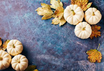 Wall Mural - autumn background with small pumpkins