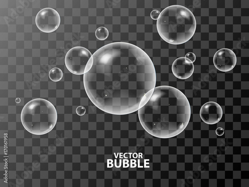 Cuadros en Lienzo Realistic 3d soap bubbles with reflection of light