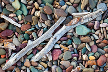 Driftwood On A Beach Of Colorful Pebbles And Stones