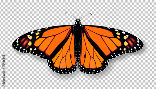 Fotografía Realistic 3d Monarch butterfly