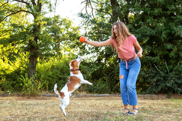 Wall Mural - beautiful girl playing with a beagle puppy